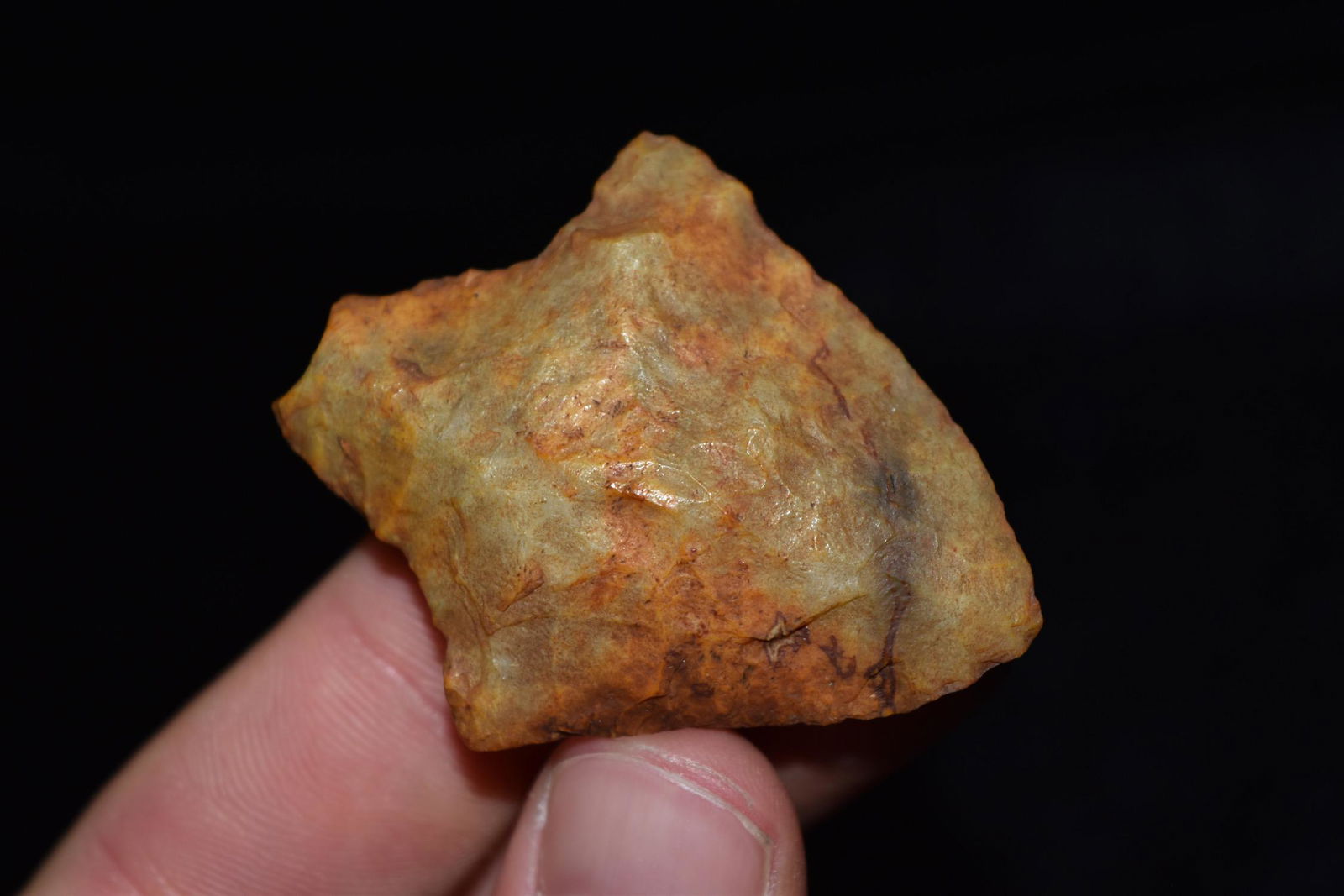 2" Newman Point, Florida (1 of 5)