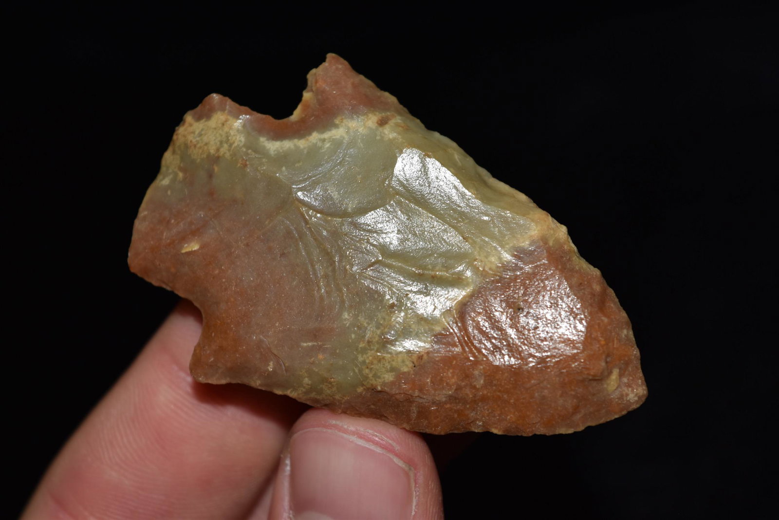 2 7/8" Boward Point, Florida (1 of 5)