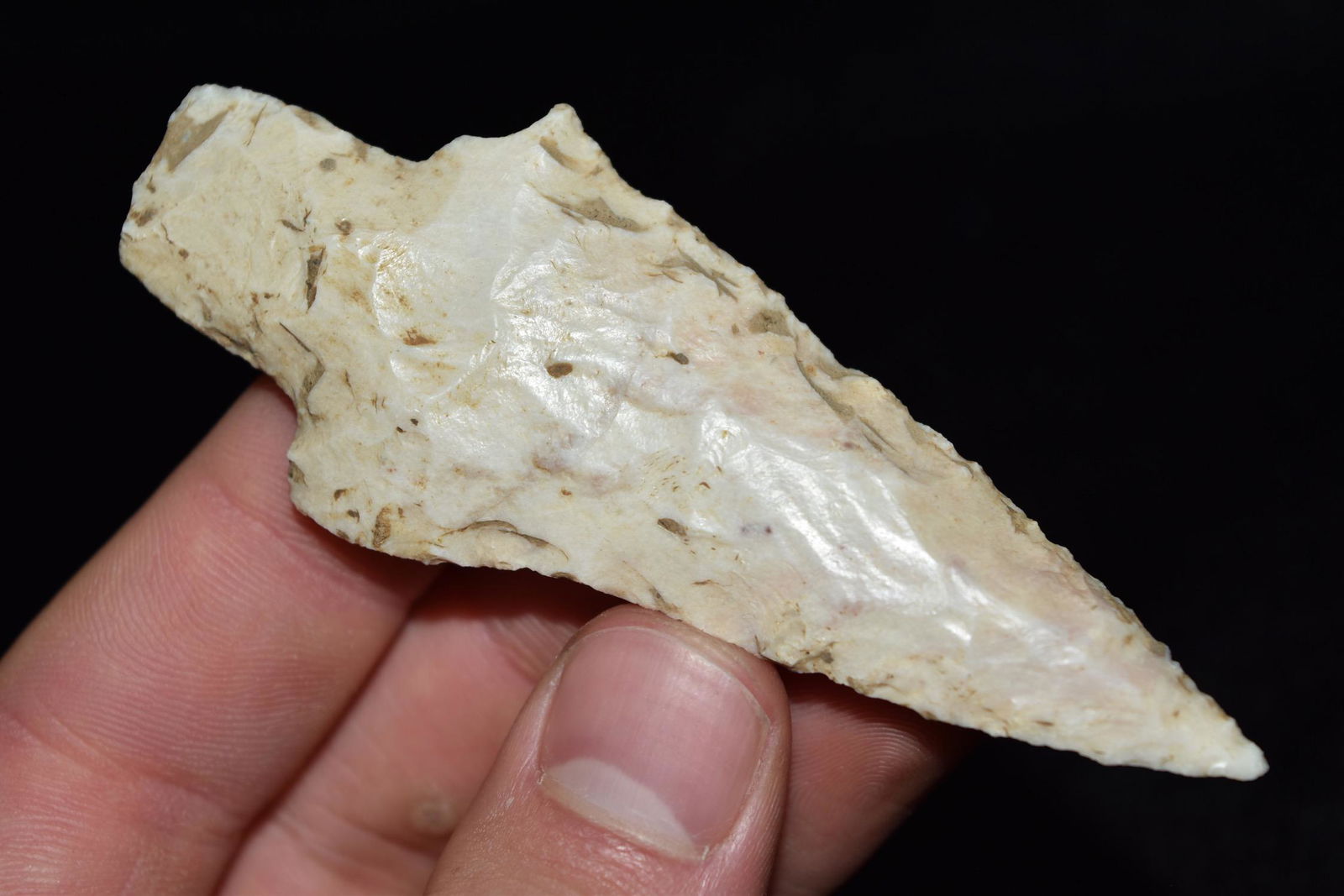 3 5/8" Dickson Point, St Louis Co, Missouri, Ex Bob (1 of 6)