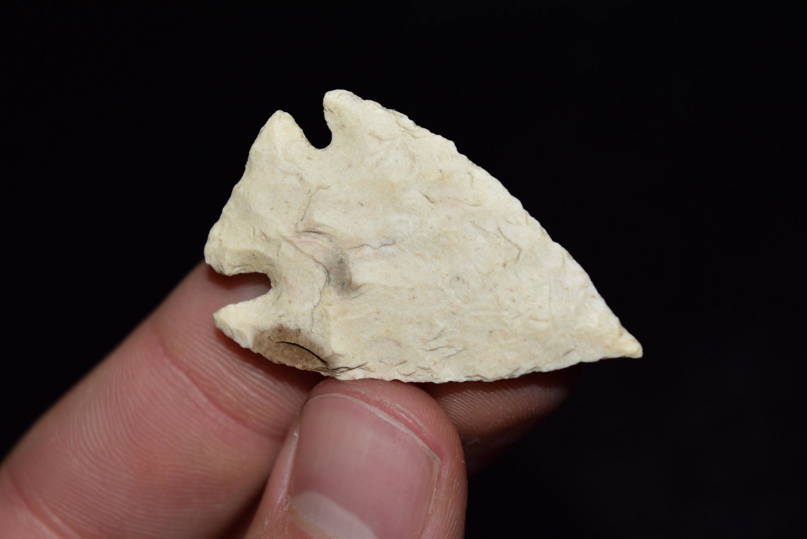 1 5/8" Apple Creek Point, Missouri, Ex Bob Zimmerman (1 of 5)