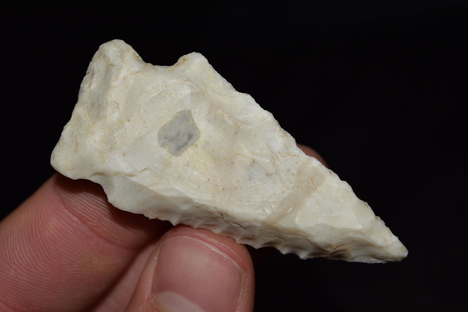 2 7/16" Rice Lobed Point, Lafayette Co, MO, Motley COA (1 of 7)