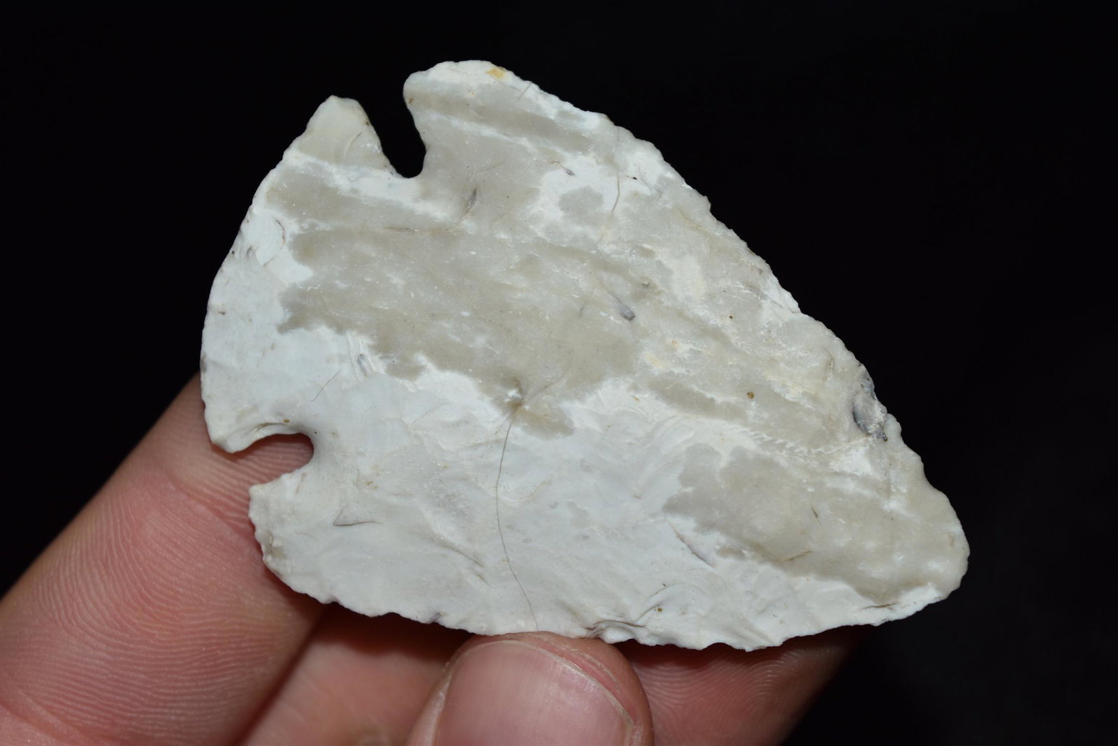 2 1/2" Pulaski Point, Alexander Co, Illinois Motley COA (1 of 7)