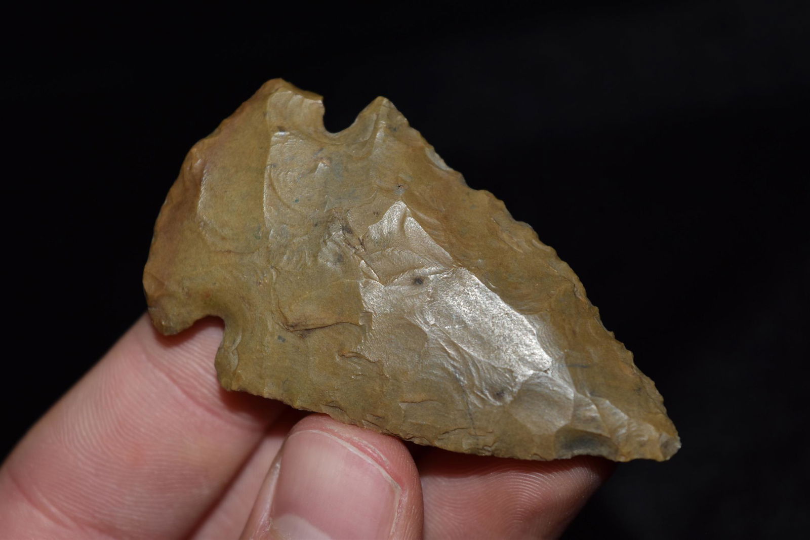 2 1/2" Dovetail Point, Creek Find, Adams Co, Illinois, (1 of 5)