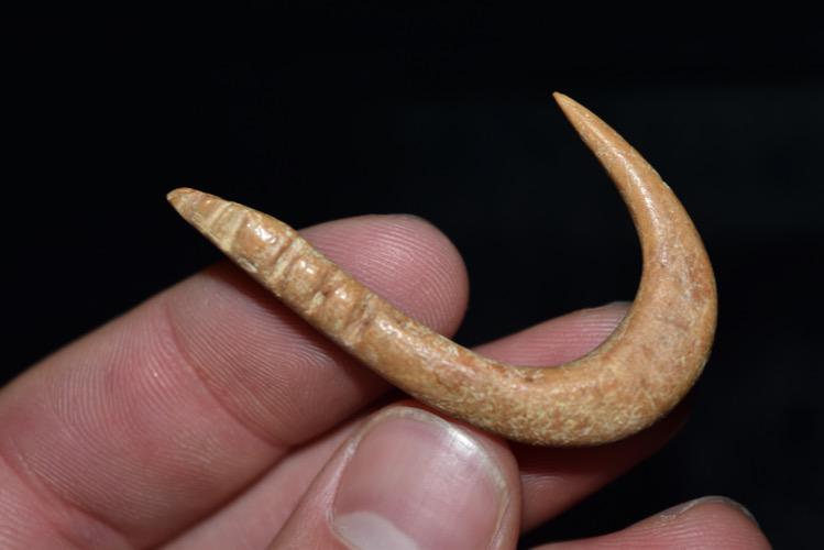 2" Fish Hook, Ex Gary Van Dyke, South Dakota (1 of 5)