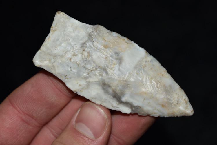 3 1/8" Holland Dalton Point, Callaway Co, MO Motley COA (1 of 6)