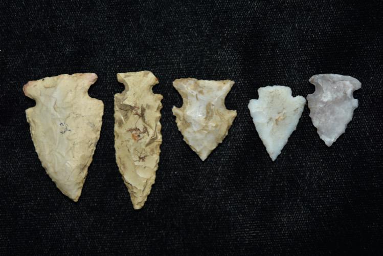 Lot of 5 Bird Points, Largest 1 1/4", Madison Co, (1 of 3)