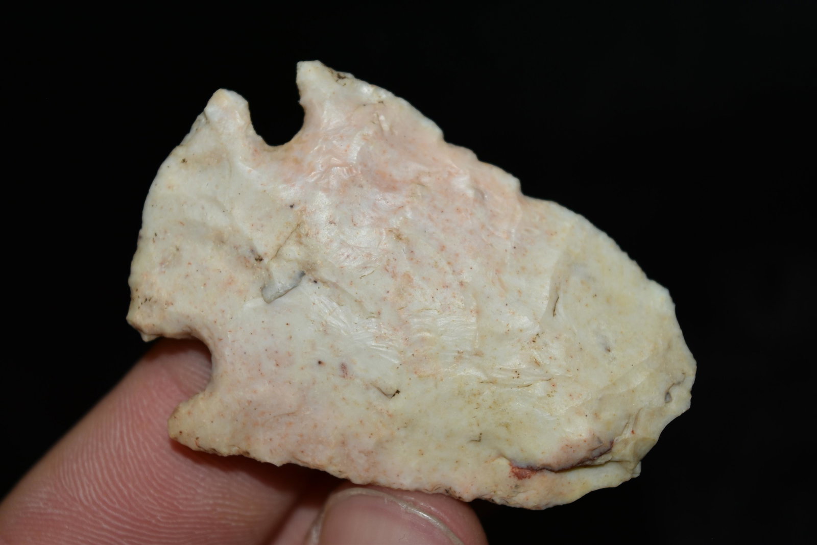 2" Snyders Point, Central Missouri Ex Dr Nuckles: 2" Snyders Point, Central Missouri Ex Dr Nuckles
