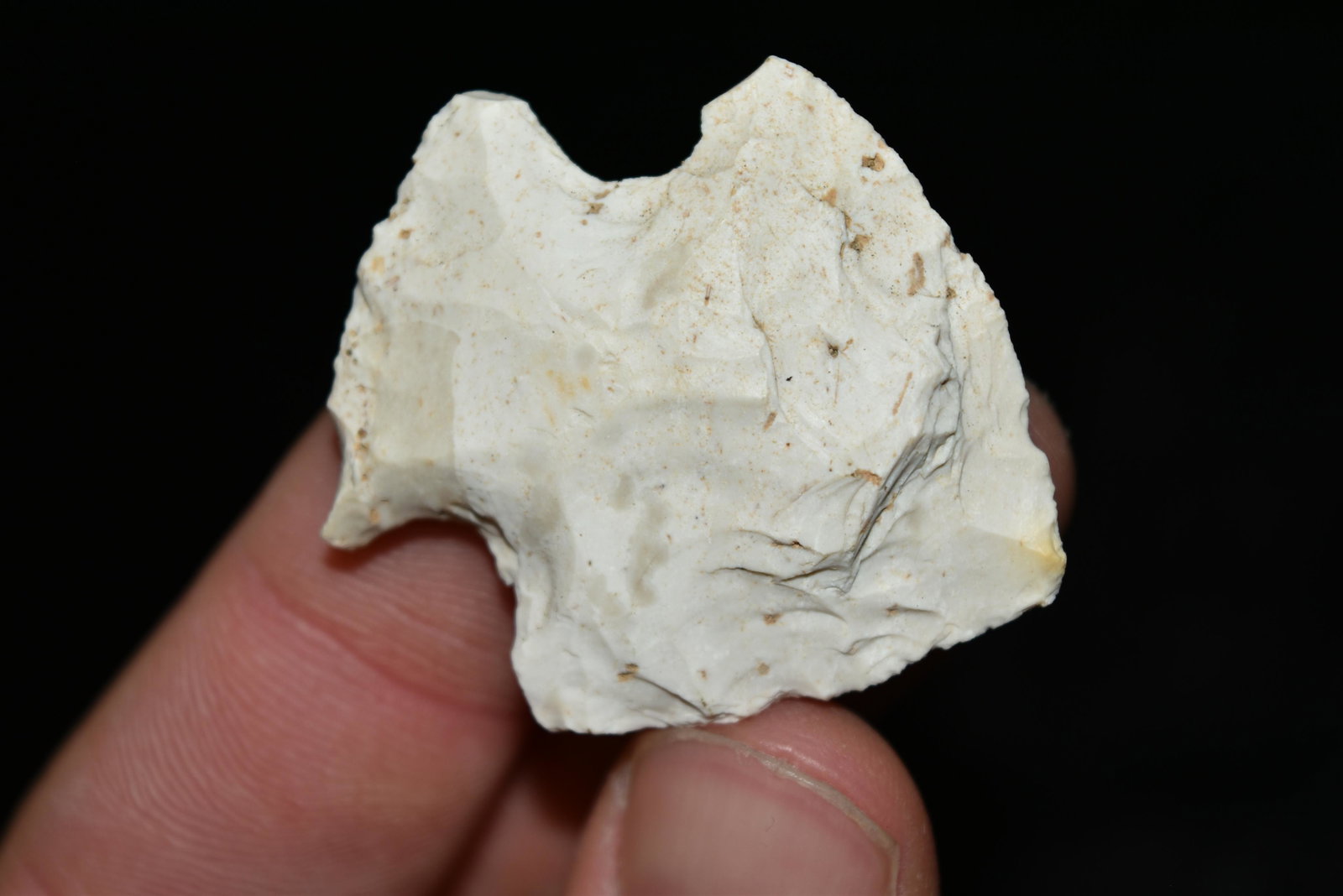 1 5/8" Snyder Point, Central Missouri Ex Dr Nuckles: 1 5/8" Snyder Point, Central Missouri Ex Dr Nuckles