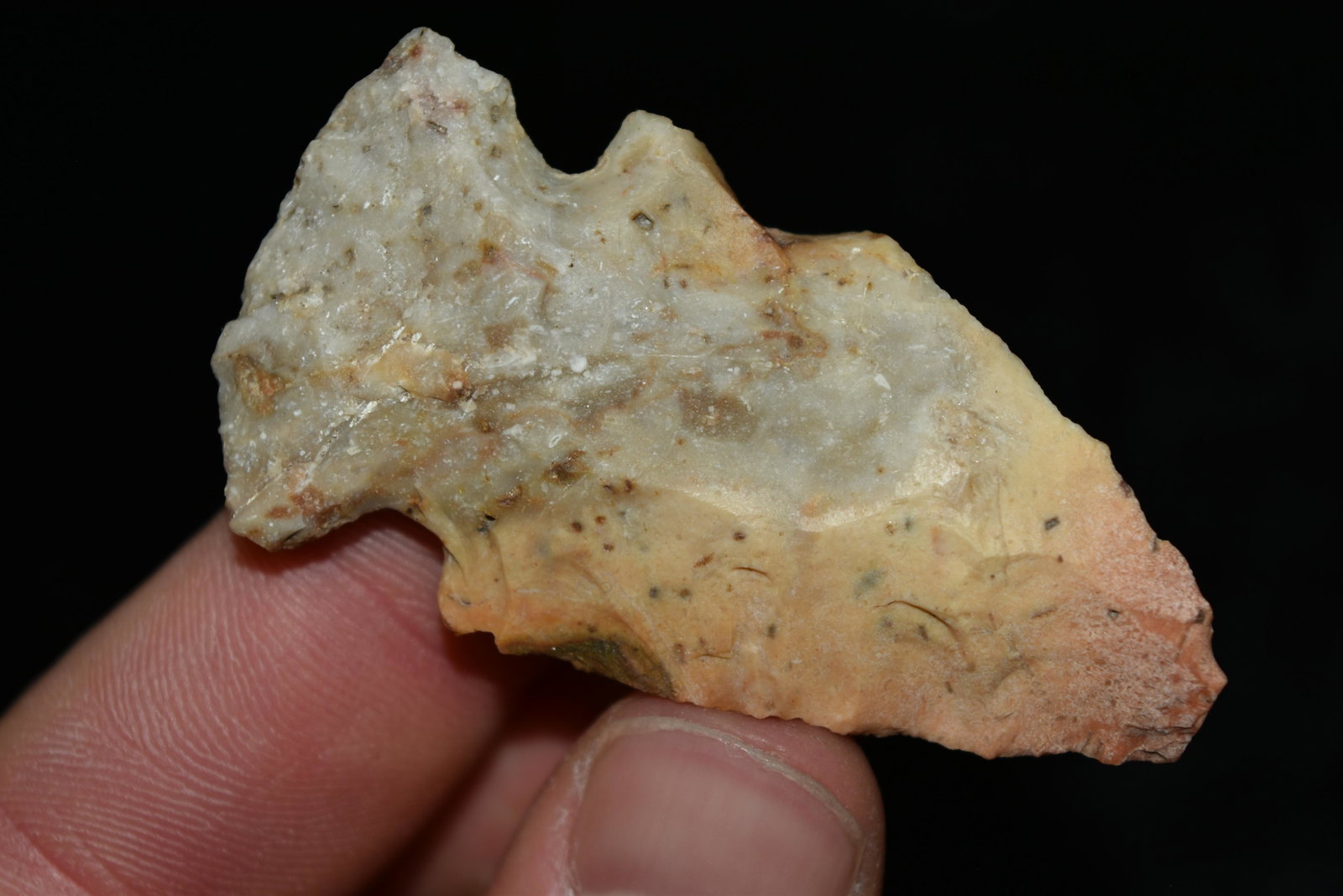 2 1/8" Gibson Point, Central Missouri Ex Dr Nuckles: 2 1/8" Gibson Point, Central Missouri Ex Dr Nuckles