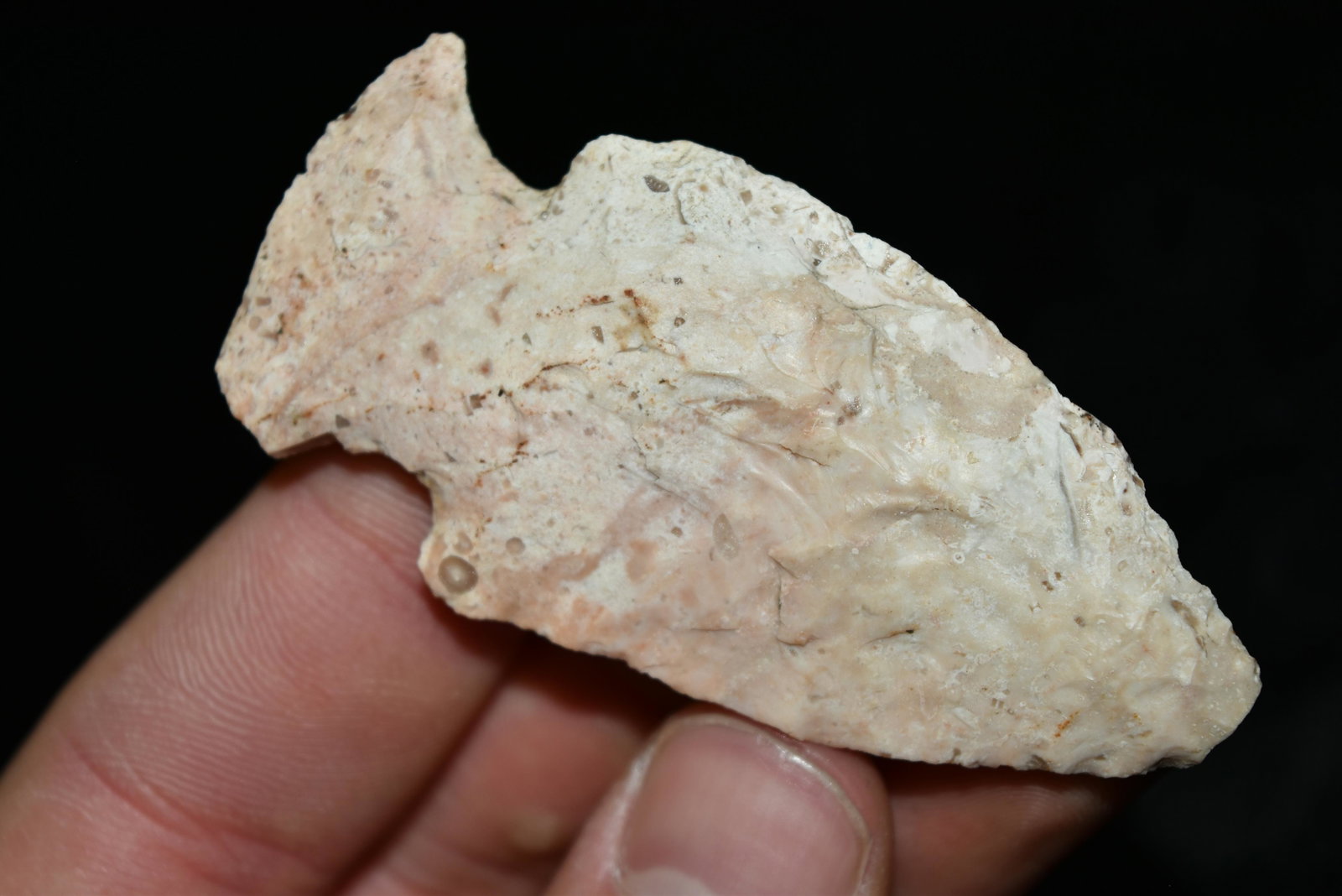 2 3/4" Gibson Point, Central Missouri Ex Dr Nuckles: 2 3/4" Gibson Point, Central Missouri Ex Dr Nuckles