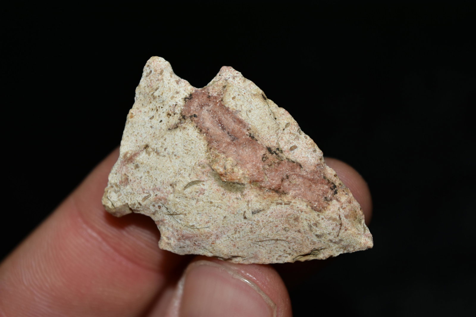 1 5/8" Woodland Point, Central Missouri Ex Dr Nuckles: 1 5/8" Woodland Point, Central Missouri Ex Dr Nuckles