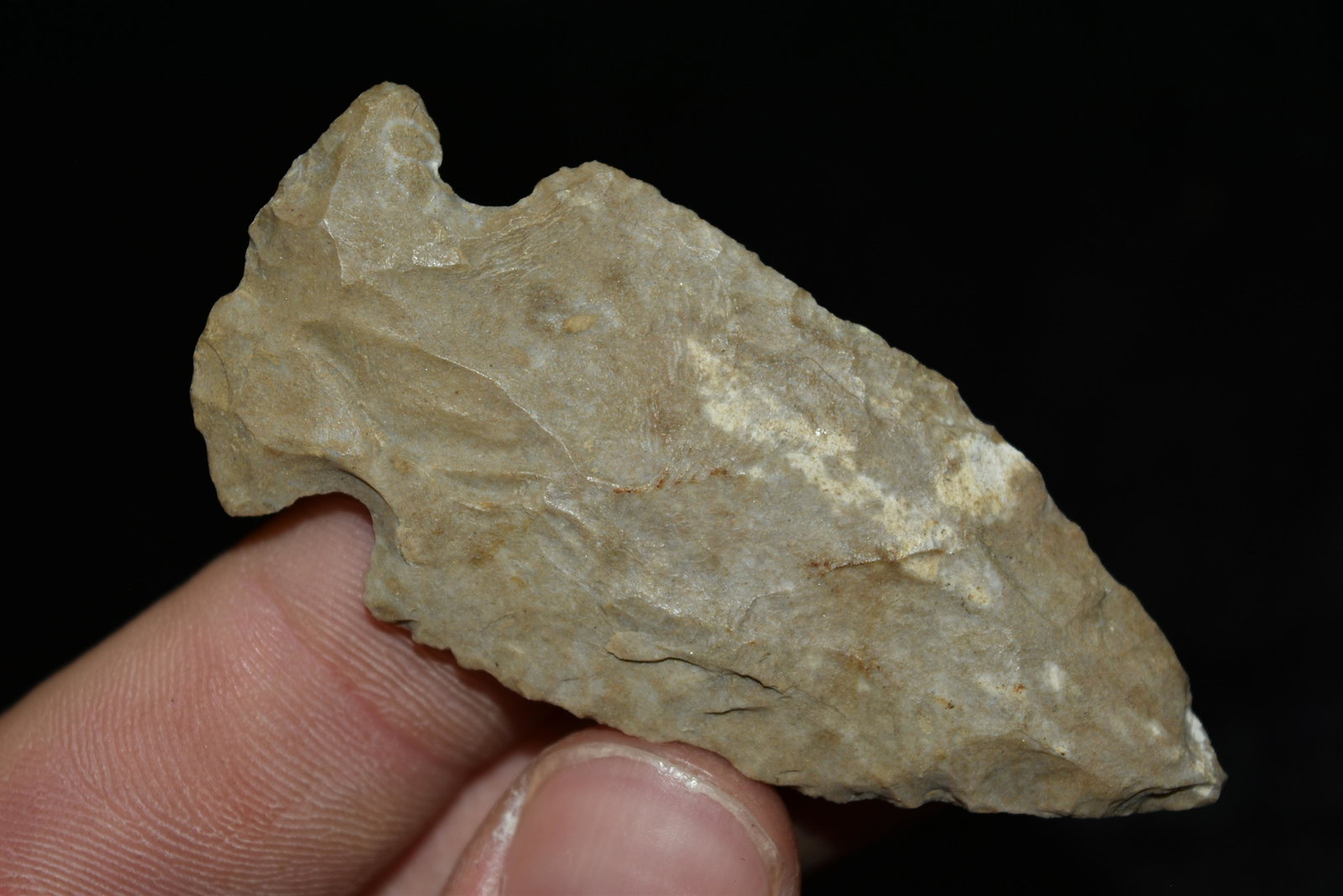 2 1/2" Gibson Point, Missouri: 2 1/2" Gibson Point, Missouri