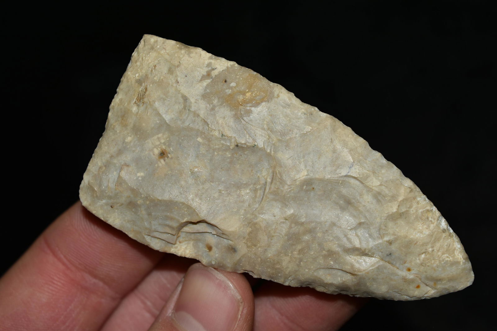 3 1/4" Stanfield Blade, Jersey Co, Illinois: 3 1/4" Stanfield Blade, Jersey Co, Illinois