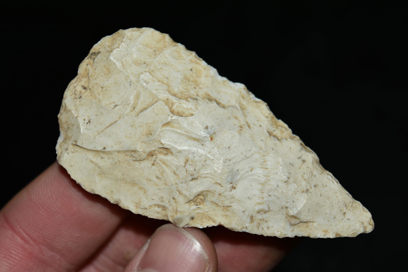 3" Cobbs Blade, Jersey Co, Illinois: 3" Cobbs Blade, Jersey Co, Illinois