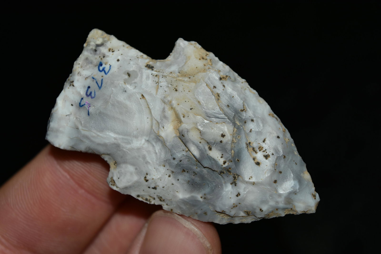 2 1/4" Rice Lobed Side Notch, Mozarkite, Cooper Co,: 2 1/4" Rice Lobed Side Notch, Mozarkite, Cooper Co, Missouri