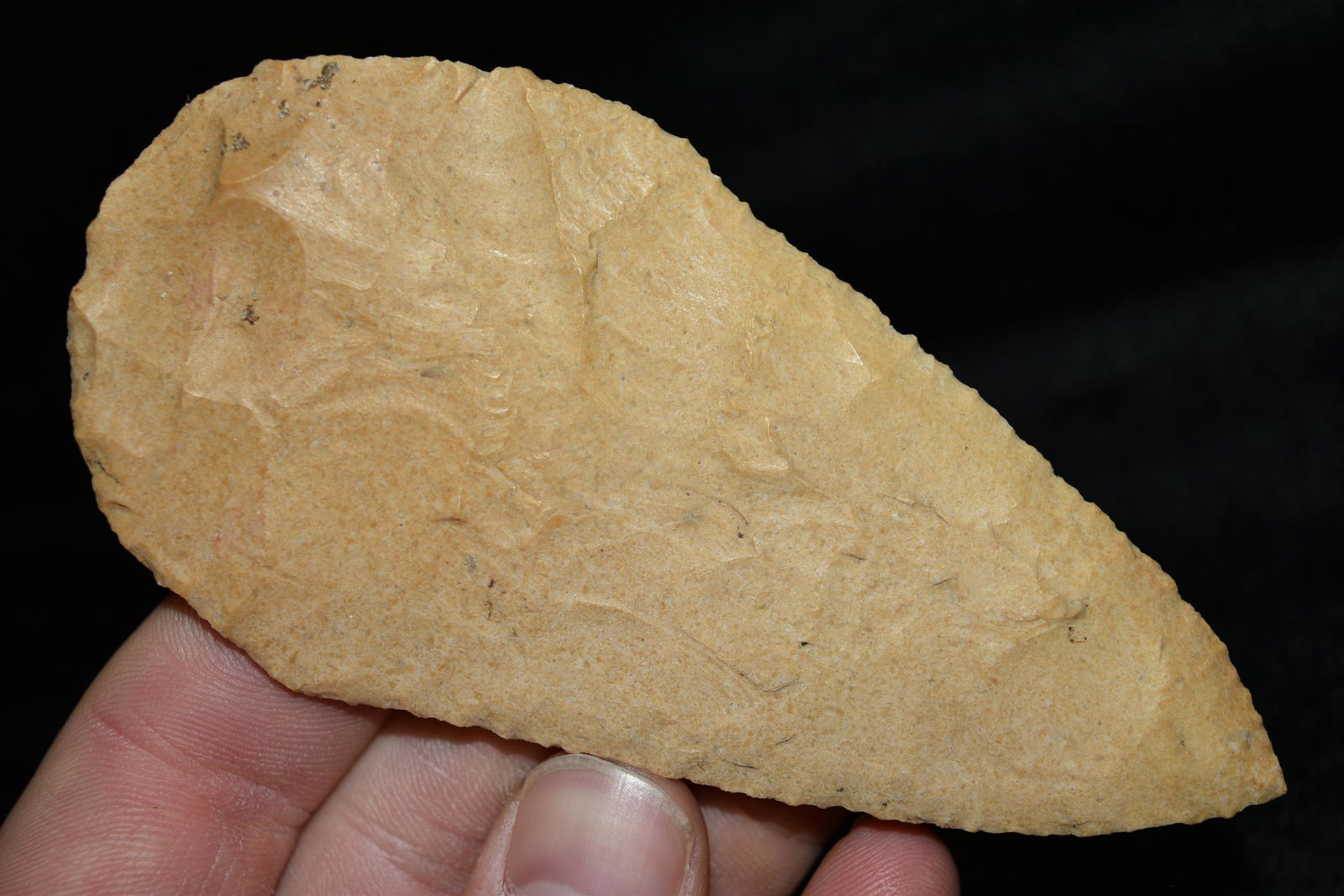 4 1/2" Cobbs Blade, Jersey Co, Illinois: 4 1/2" Cobbs Blade, Jersey Co, Illinois