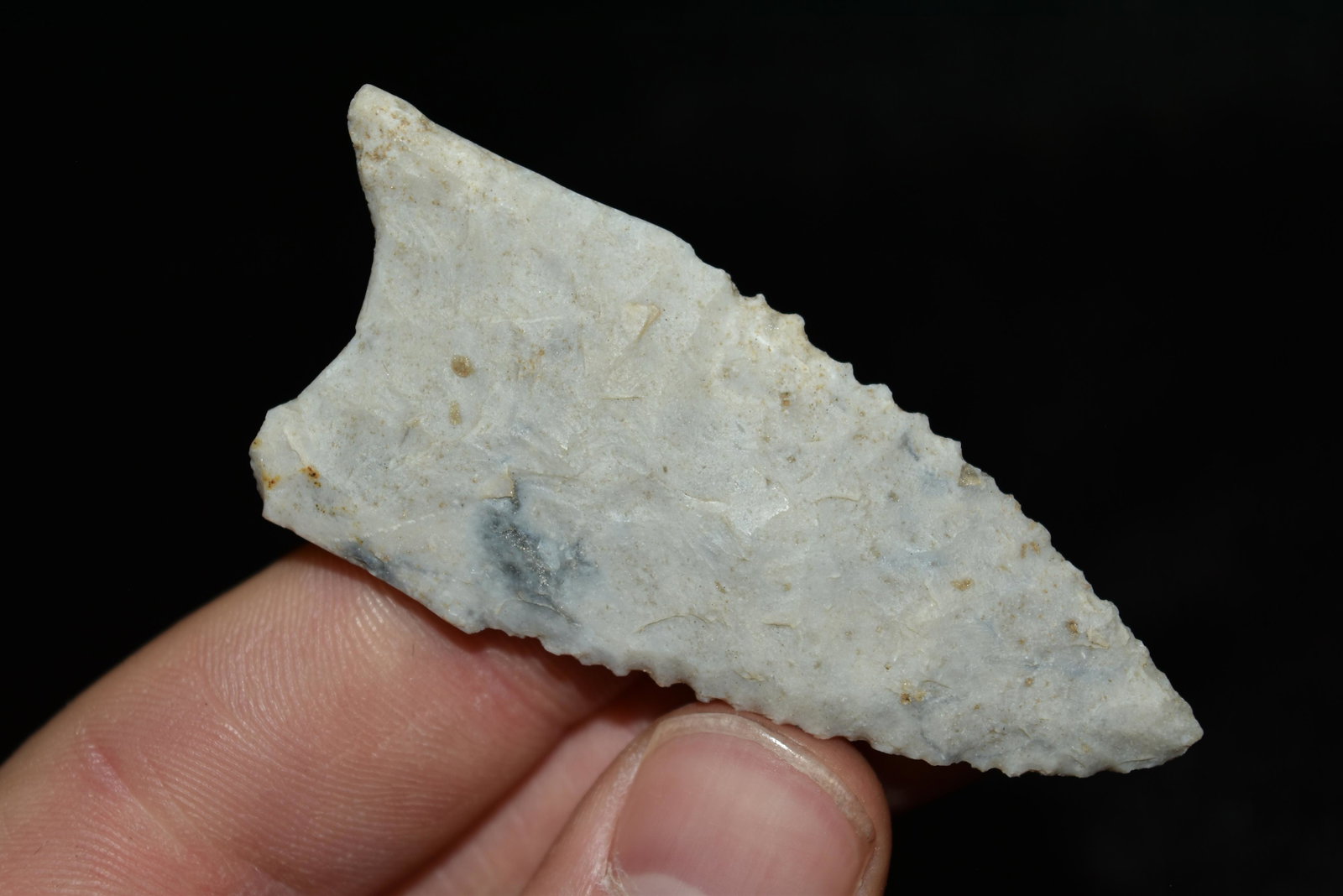2 1/2" Dalton, Central Missouri: 2 1/2" Dalton, Central Missouri