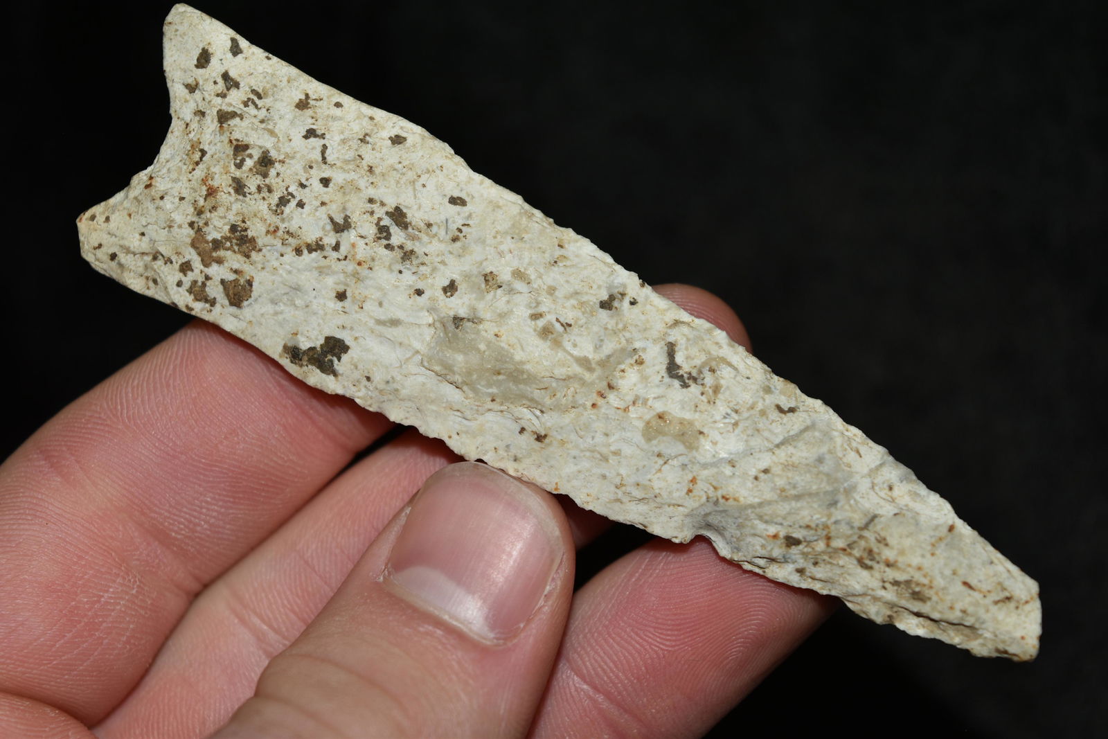 4" Dalton Point, Jersey Co, Illinois: 4" Dalton Point, Jersey Co, Illinois