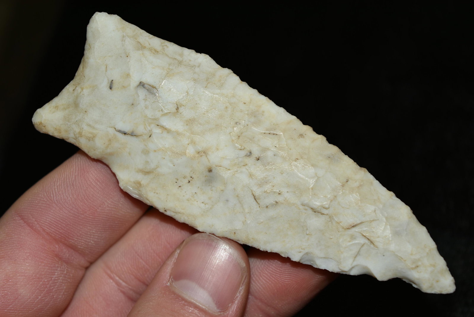 4" Dalton Point, Iowa: 4" Dalton Point, Iowa