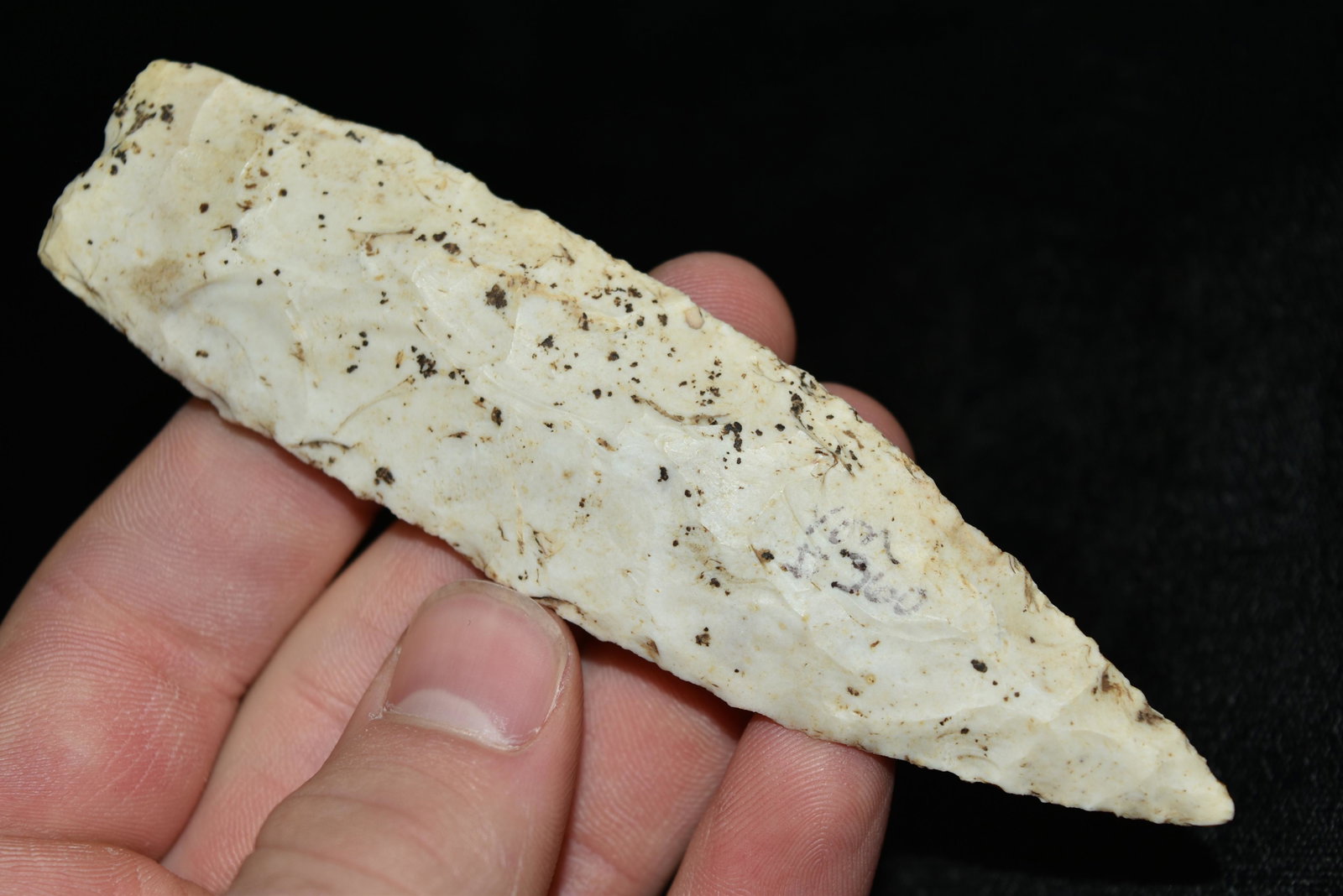 4 3/4" Sedalia Point, Motley COA, Marion Co, Illinois: 4 3/4" Sedalia Point, Motley COA, Marion Co, Illinois