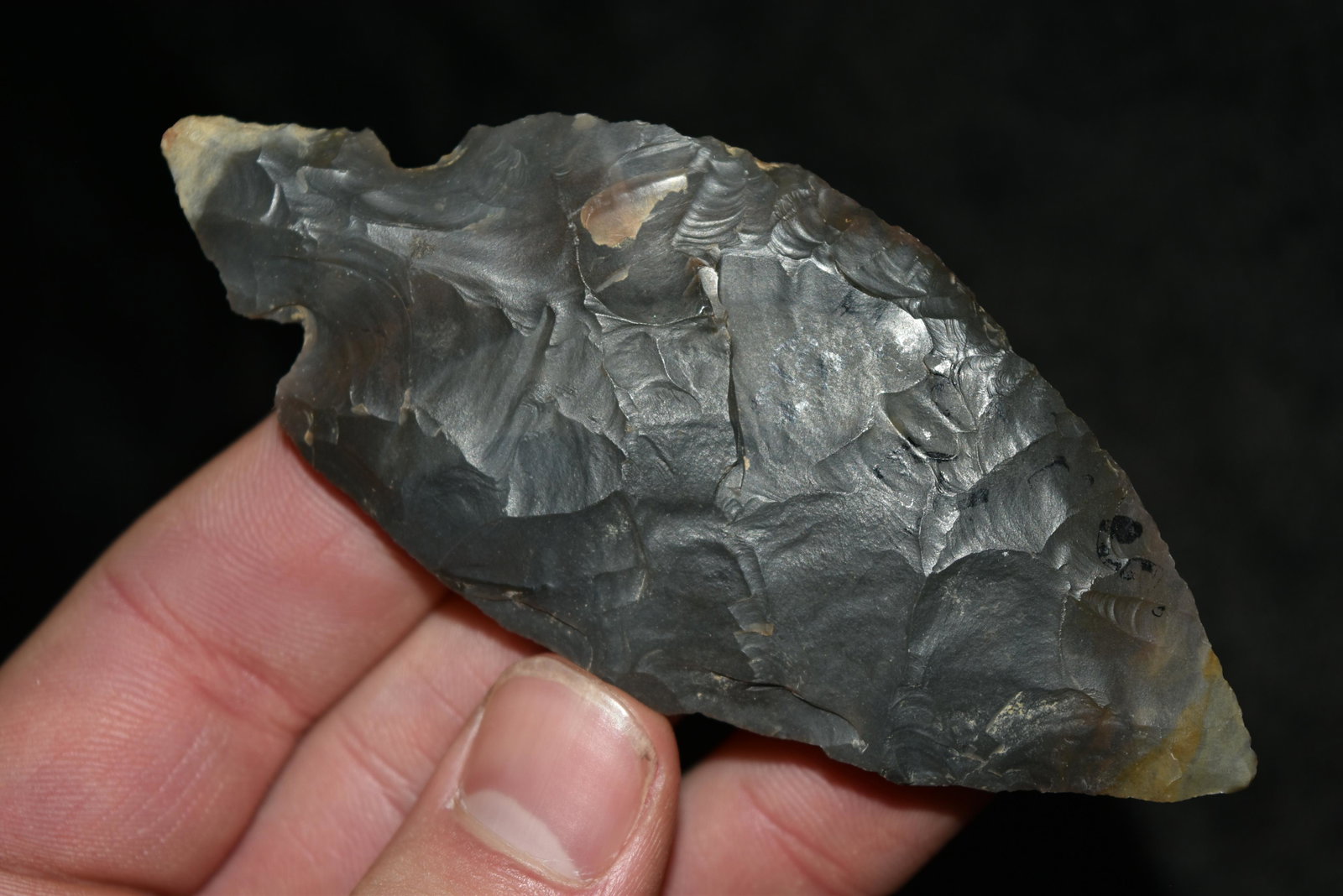4" Turkey Tail Point, Adams/Pike Co, Illinois,: 4" Turkey Tail Point, Adams/Pike Co, Illinois, Ralls/Pike Co, Missouri, 20 Year Collection of Frank Waelder of Hannibal, Missouri