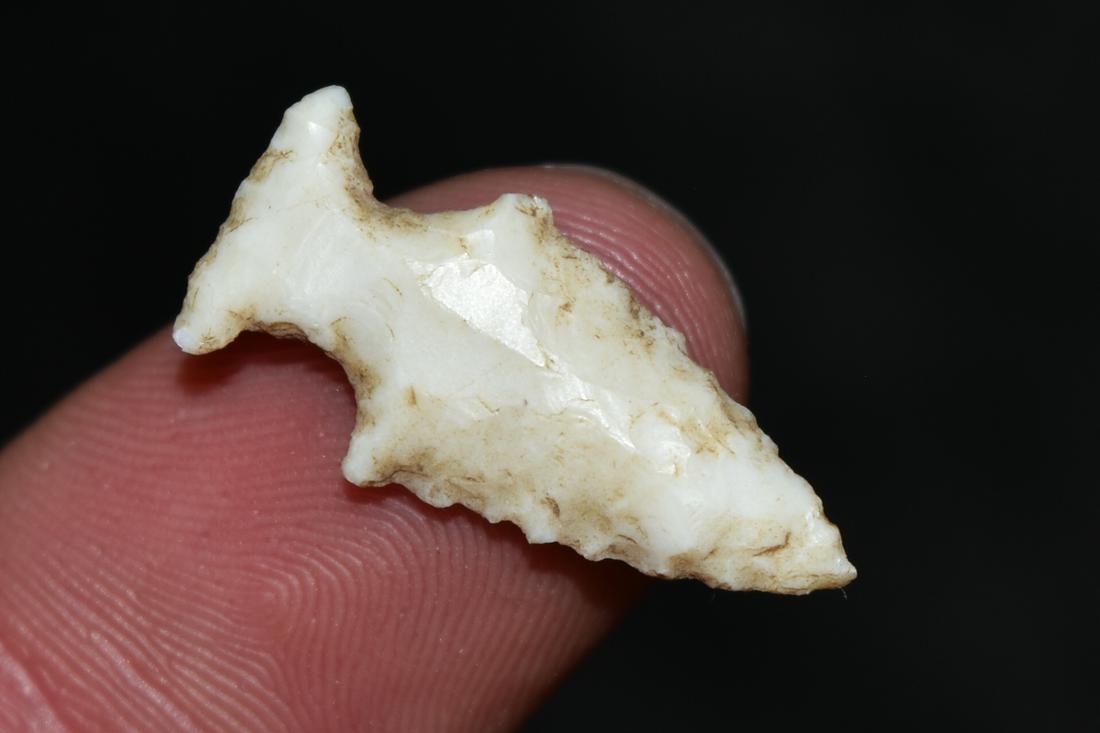 1" Bird Point, Adams/Pike Co, Illinois, Ralls/Pike Co,: 1" Bird Point, Adams/Pike Co, Illinois, Ralls/Pike Co, Missouri, 20 Year Collection of Frank Waelder of Hannibal, Missouri