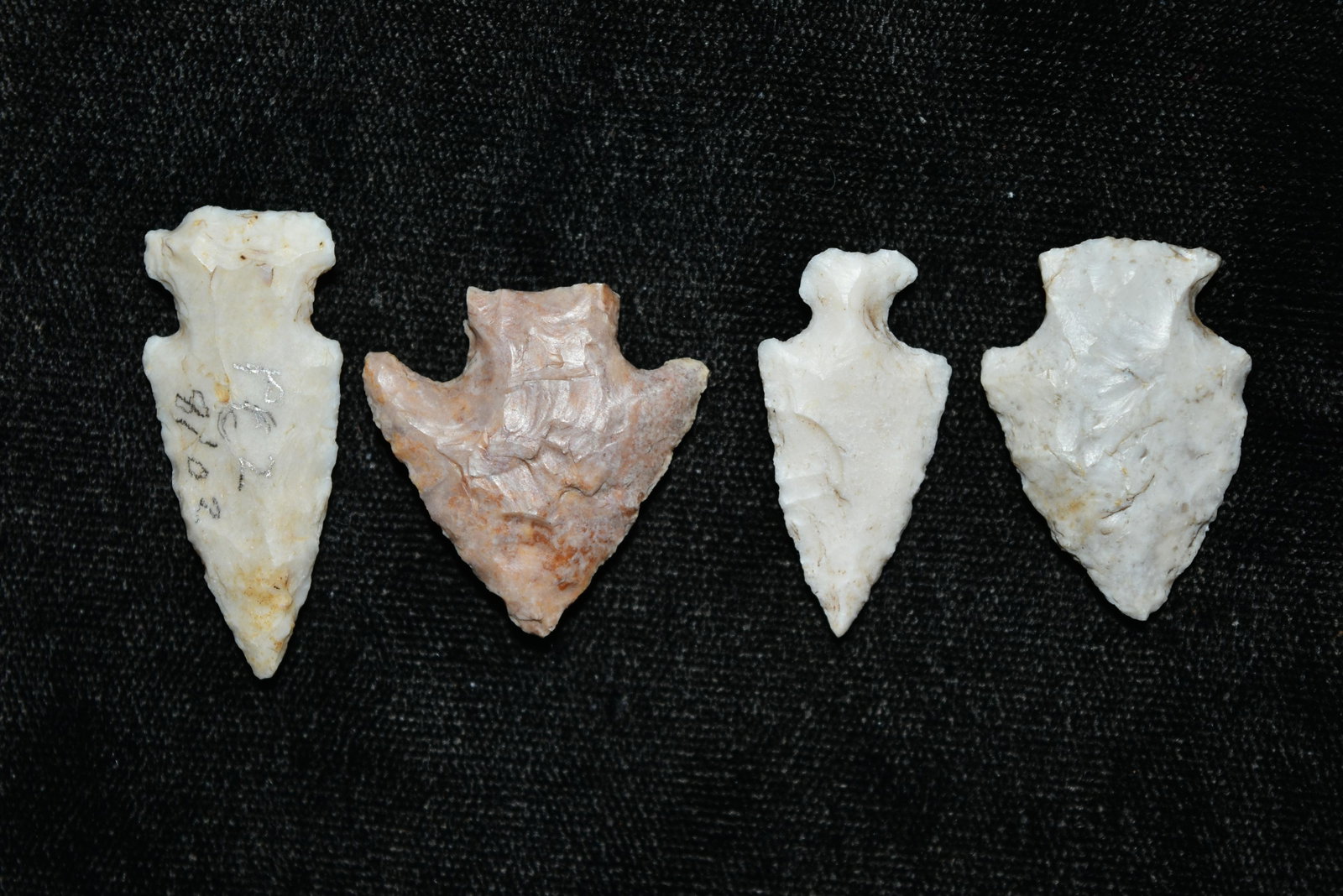 Lot of 4 Bird Points, Adams/Pike Co, Illinois,: Lot of 4 Bird Points, Adams/Pike Co, Illinois, Ralls/Pike Co, Missouri, 20 Year Collection of Frank Waelder of Hannibal, Missouri