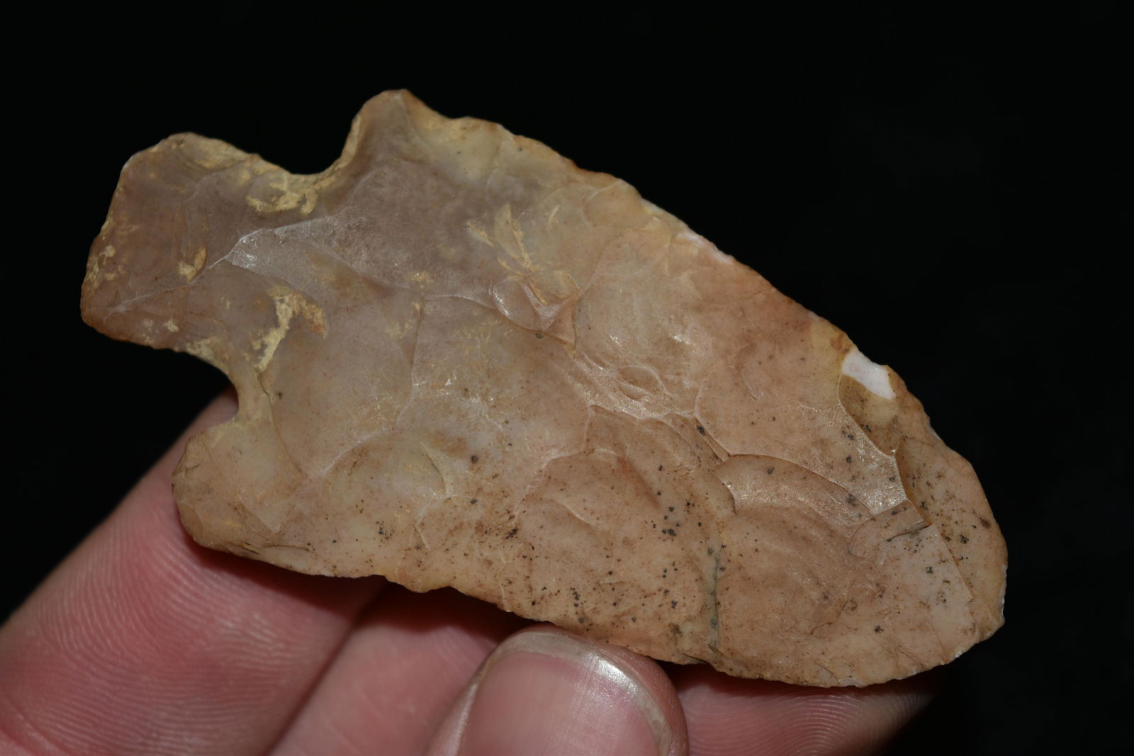 3" Mehlville Point, Central Illinois (1 of 5)