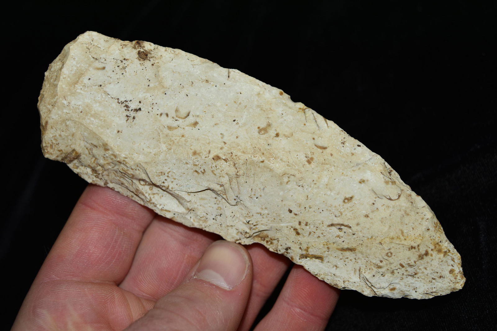 5 5/8" Wadlow Blade, Central Illinois (1 of 5)