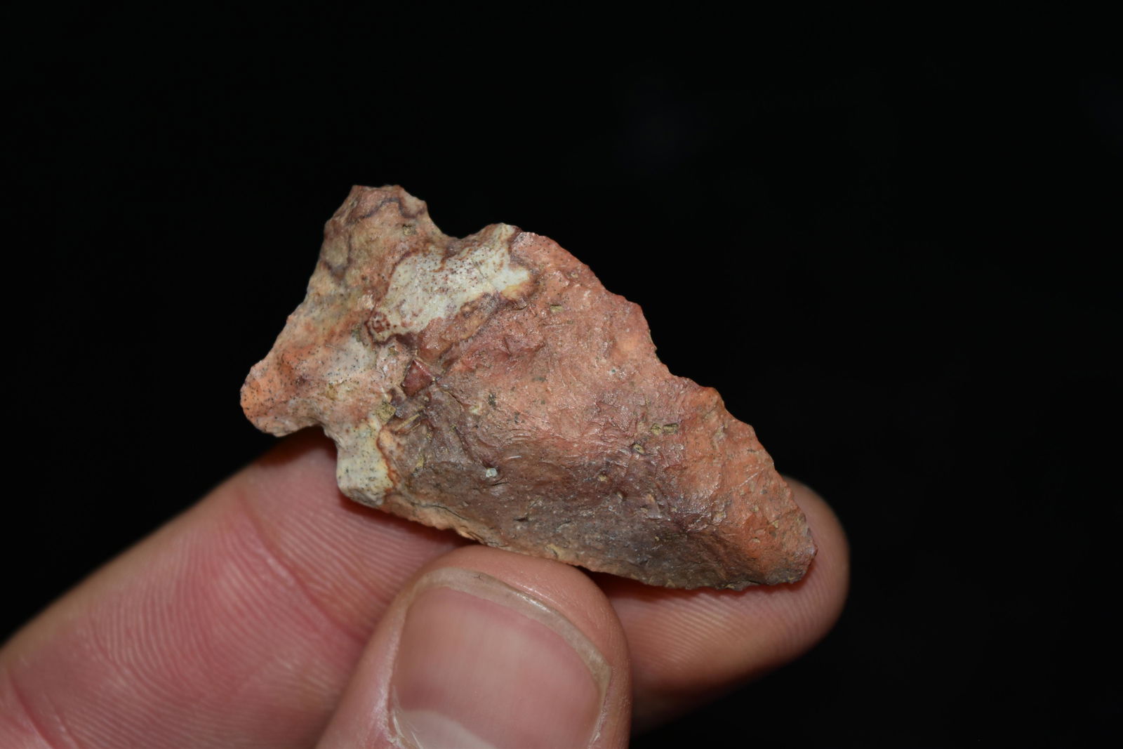 1 5/8" Robinson Point, Central Illinois (1 of 5)