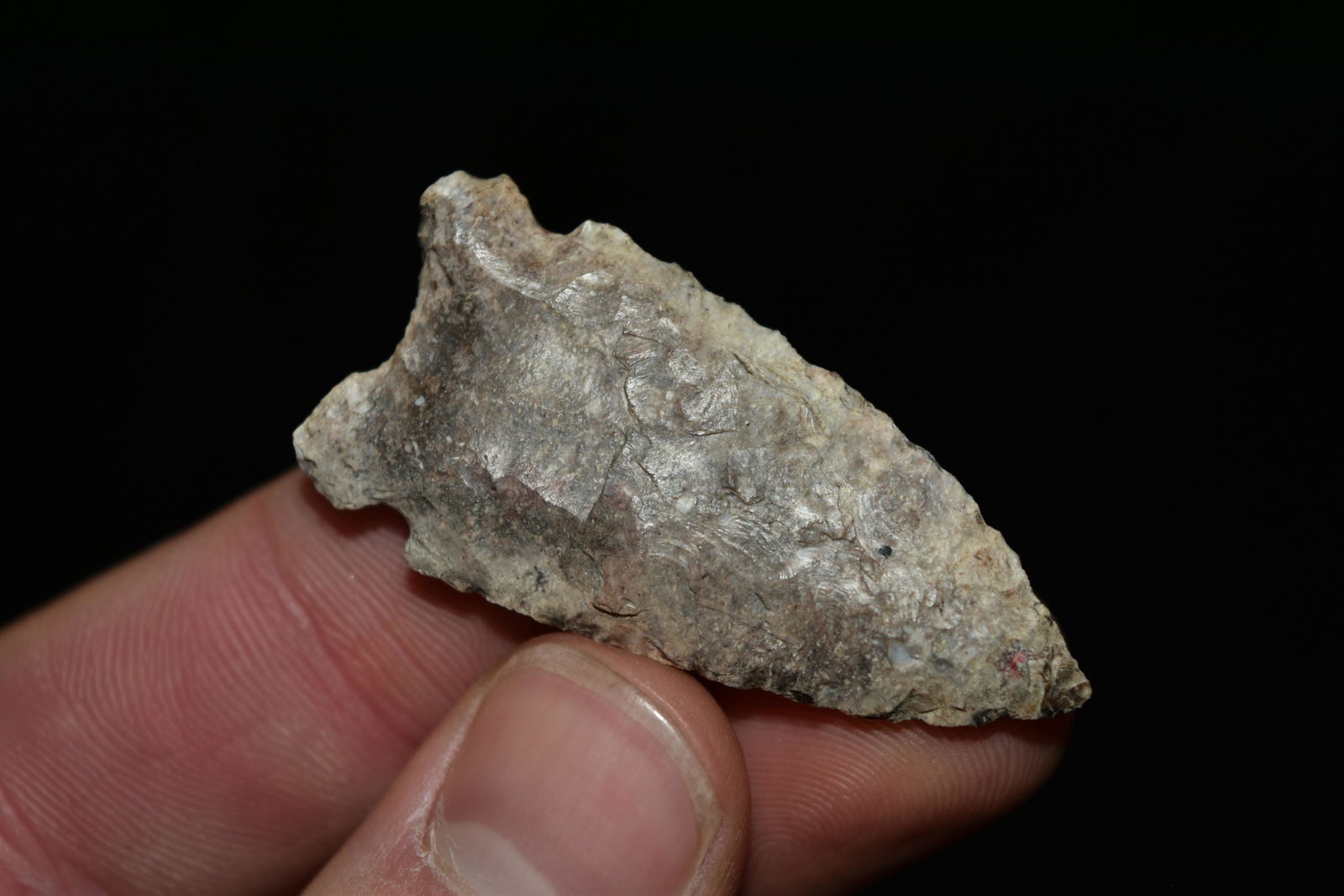 1 3/4" Robinson Point, Central Illinois (1 of 5)