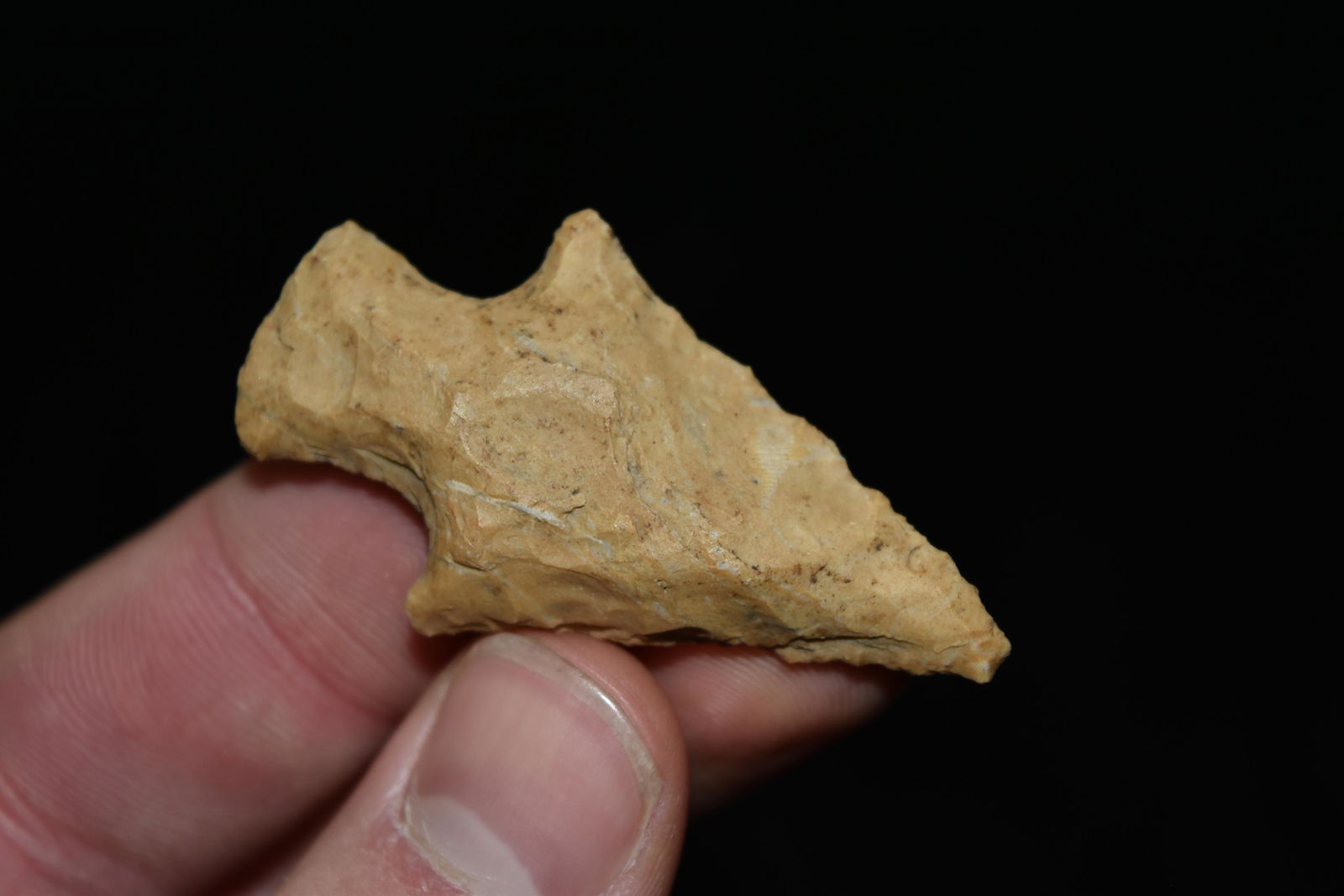 2" Apple Creek Point, Central Illinois (1 of 5)