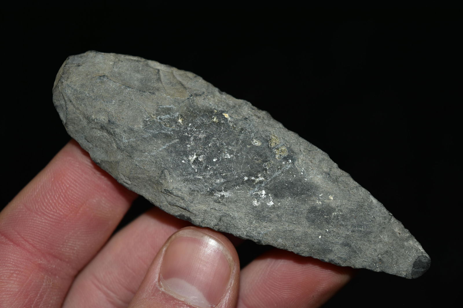 3 5/8" Pick, Central Illinois (1 of 5)