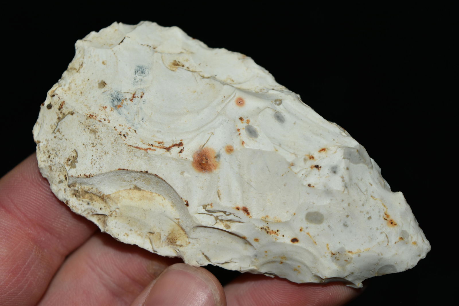 3 1/2" Cobbs Blade, Central Illinois (1 of 5)