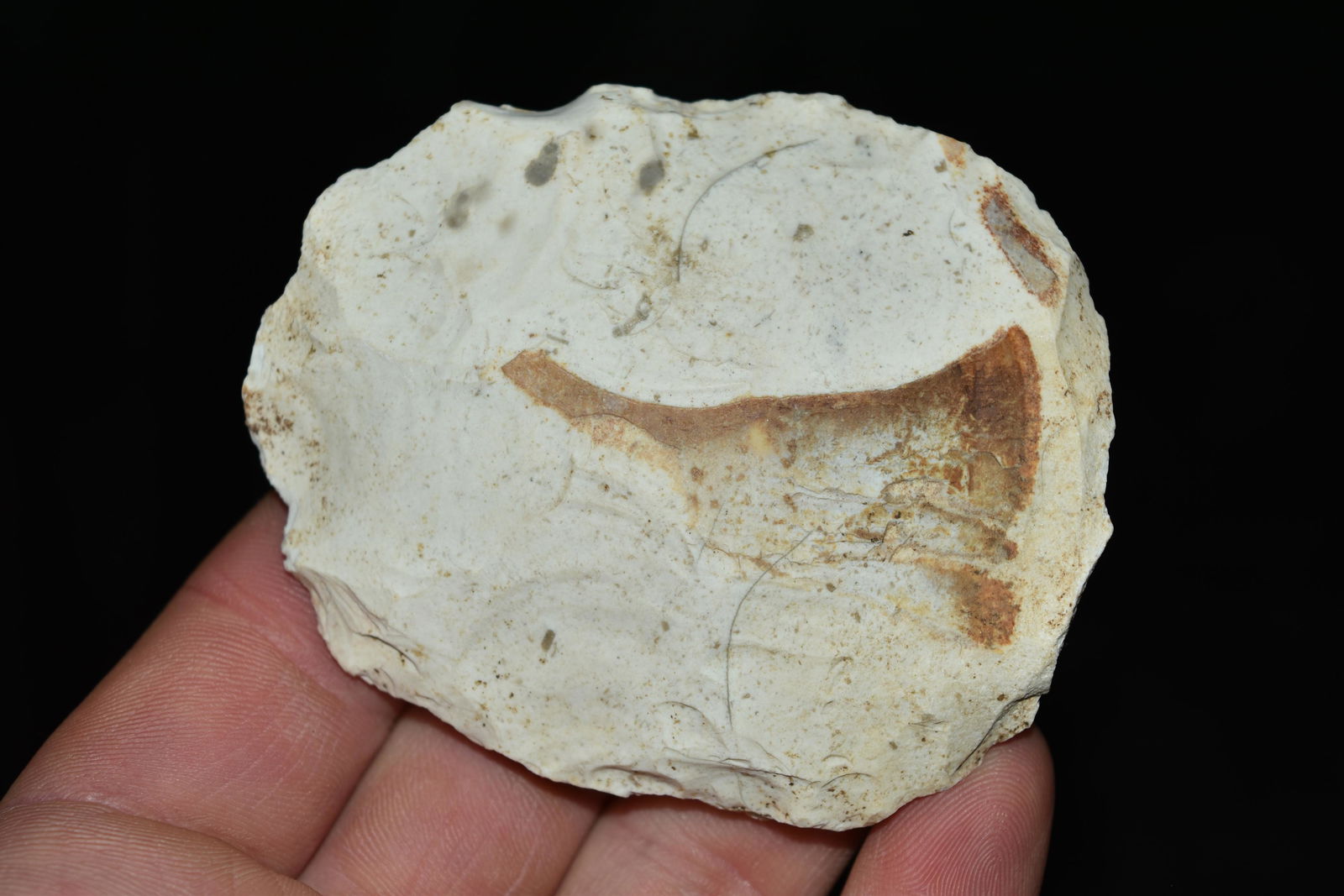 3 1/4" Sun Disc, Central Illinois (1 of 5)