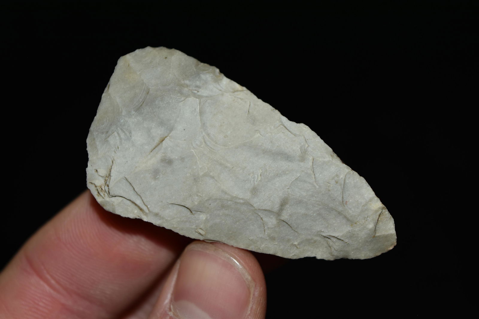 2 1/4" Blade, Central Illinois (1 of 5)