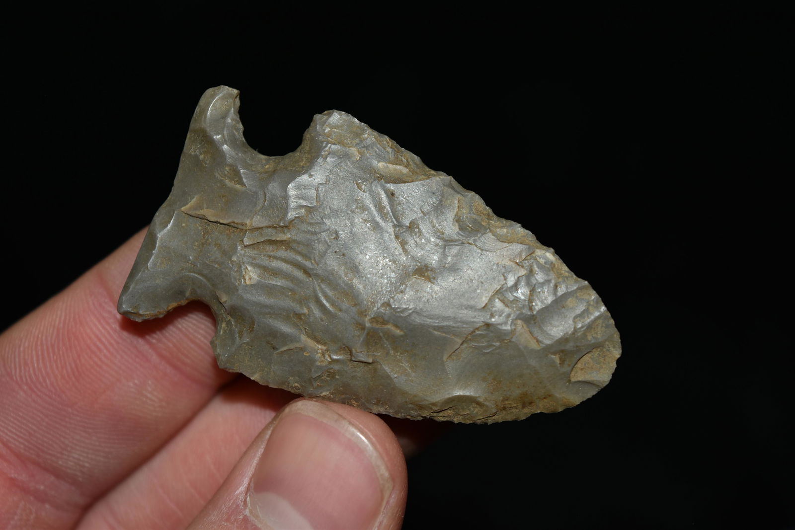 2 1/8" Kings Point, Central Illinois (1 of 5)