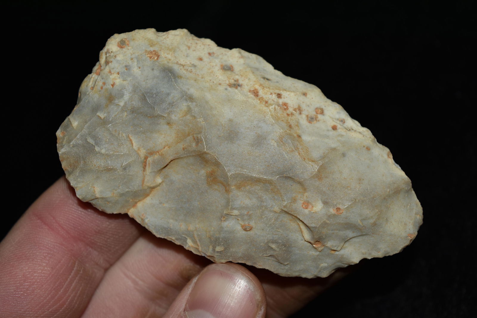 3 1/4" Blade, Yell Co, Arkansas (1 of 5)