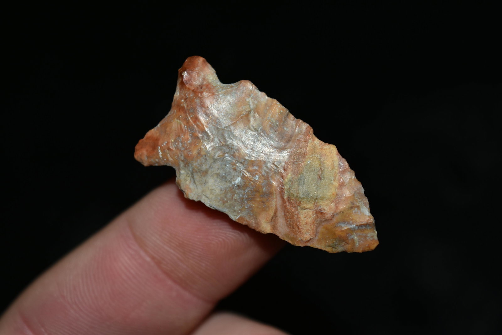 1 1/4" Creek Patina Robinson found in Lewis Co, Mo by: 1 1/4" Creek Patina Robinson found in Lewis Co, Mo by John Chapman