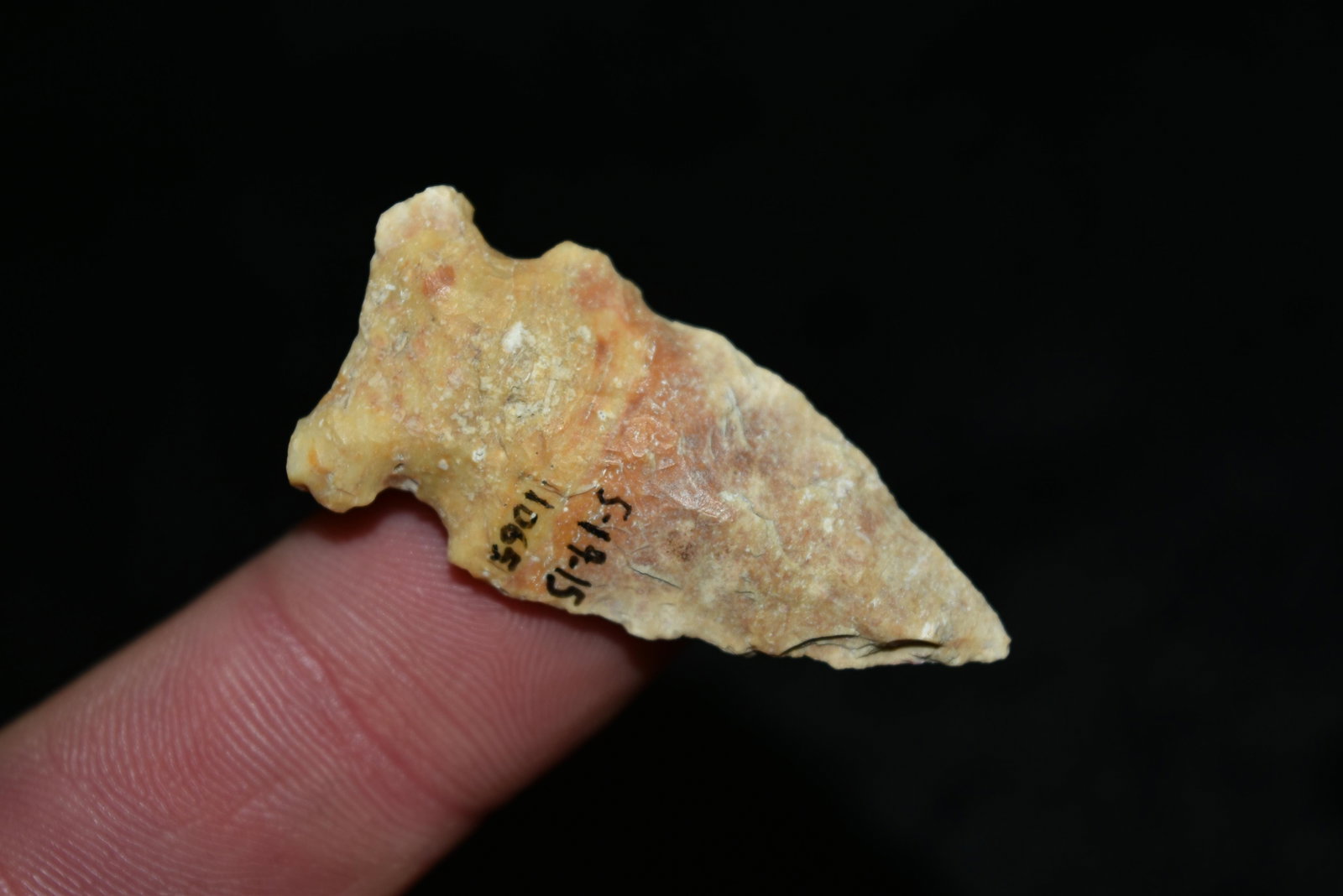1 5/8" Creek Patina Robinson found in Lewis Co, Mo by: 1 5/8" Creek Patina Robinson found in Lewis Co, Mo by John Chapman