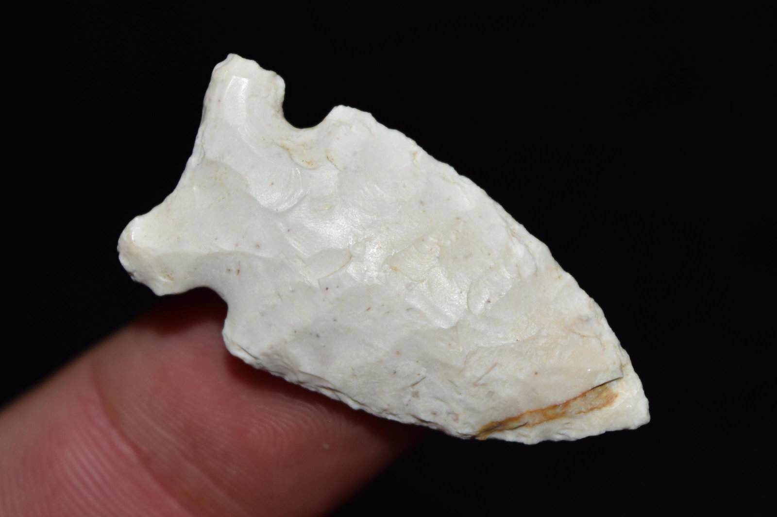 1 1/2" Burlington Robinson found in Marion Co, Mo by: 1 1/2" Burlington Robinson found in Marion Co, Mo by John Chapman