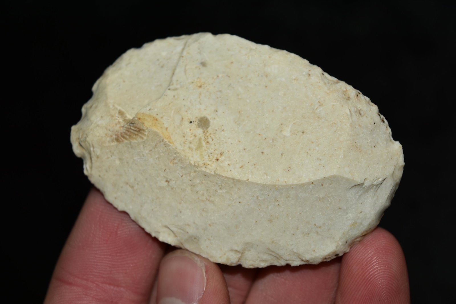 2 7/8" Oval Scraper found in Boone Co., Mo By Reggie: 2 7/8" Oval Scraper found in Boone Co., Mo By Reggie Powers