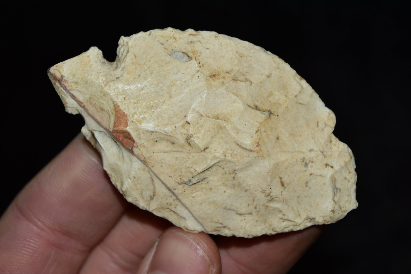 3 1/8" Notched Ovoid, Lewis Co., Mo Found by Jeff Gower: 3 1/8" Notched Ovoid, Lewis Co., Mo Found by Jeff Gower