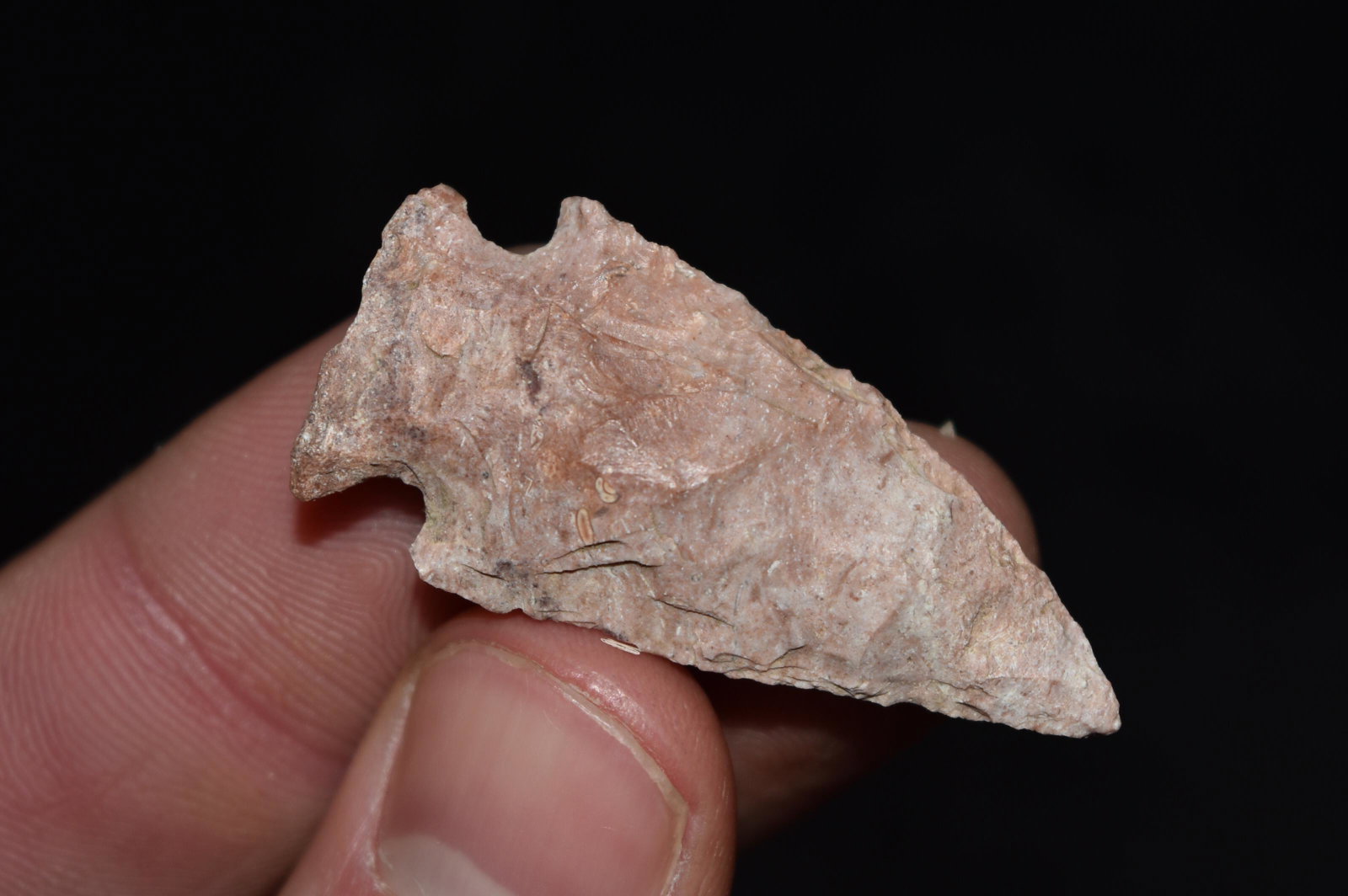 1 5/8" Woodland Point, Central Missouri: 1 5/8" Woodland Point, Central Missouri