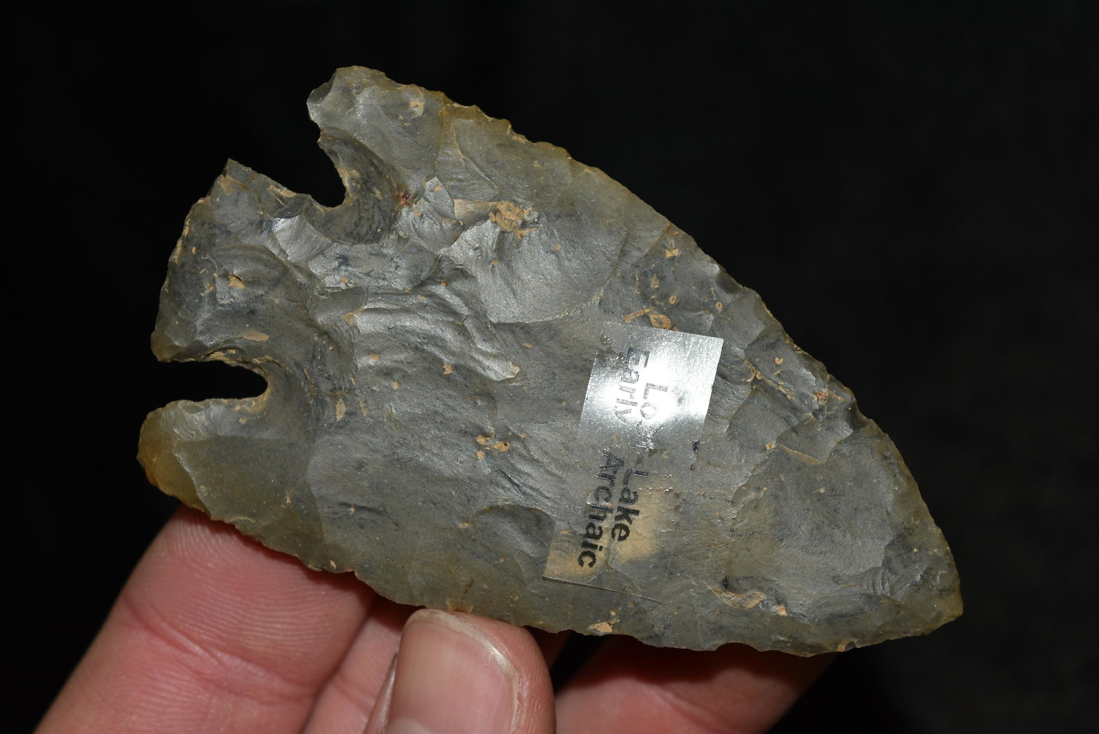 3 3/8" Lost Lake Point, Motley COA, Southwestern Ohio: 3 3/8" Lost Lake Point, Motley COA, Southwestern Ohio