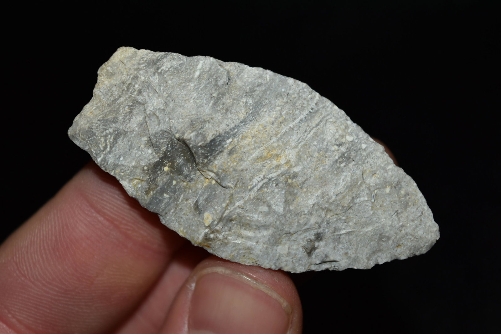 2 1/4" Agate Basin Point, Clark Co, Missouri FB Rodney: 2 1/4" Agate Basin Point, Clark Co, Missouri FB Rodney Harvey