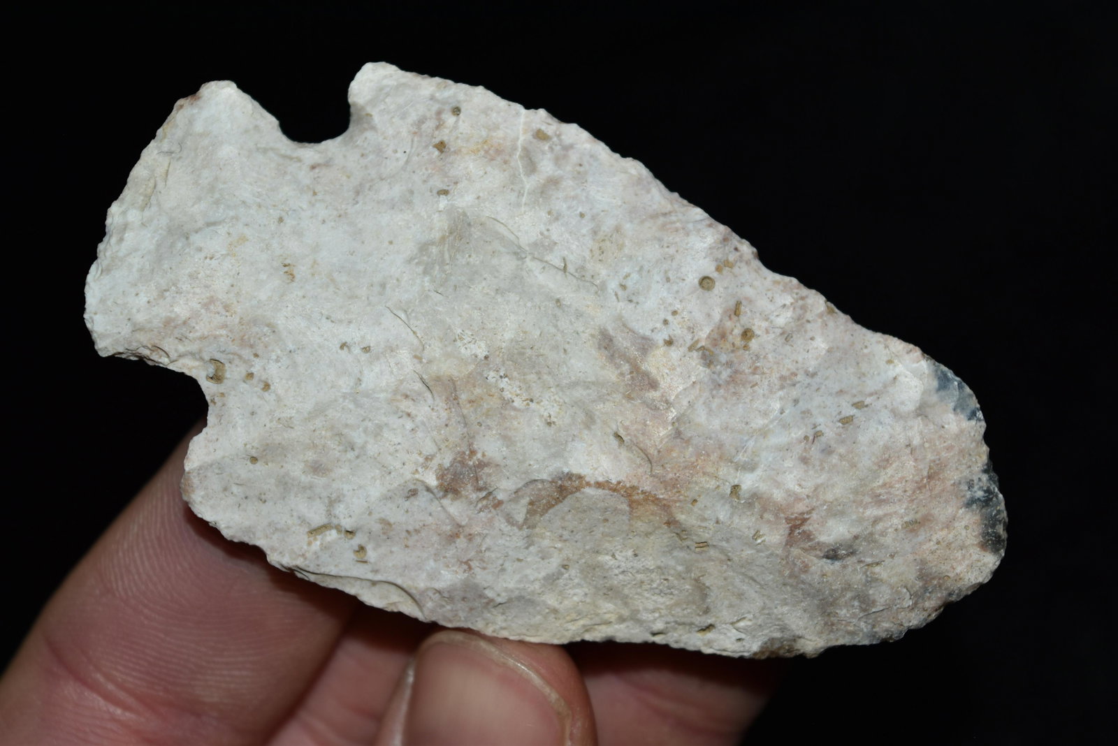 3 1/4" Rice Lobed Point, Clark Co, Missouri FB Rodney: 3 1/4" Rice Lobed Point, Clark Co, Missouri FB Rodney Harvey