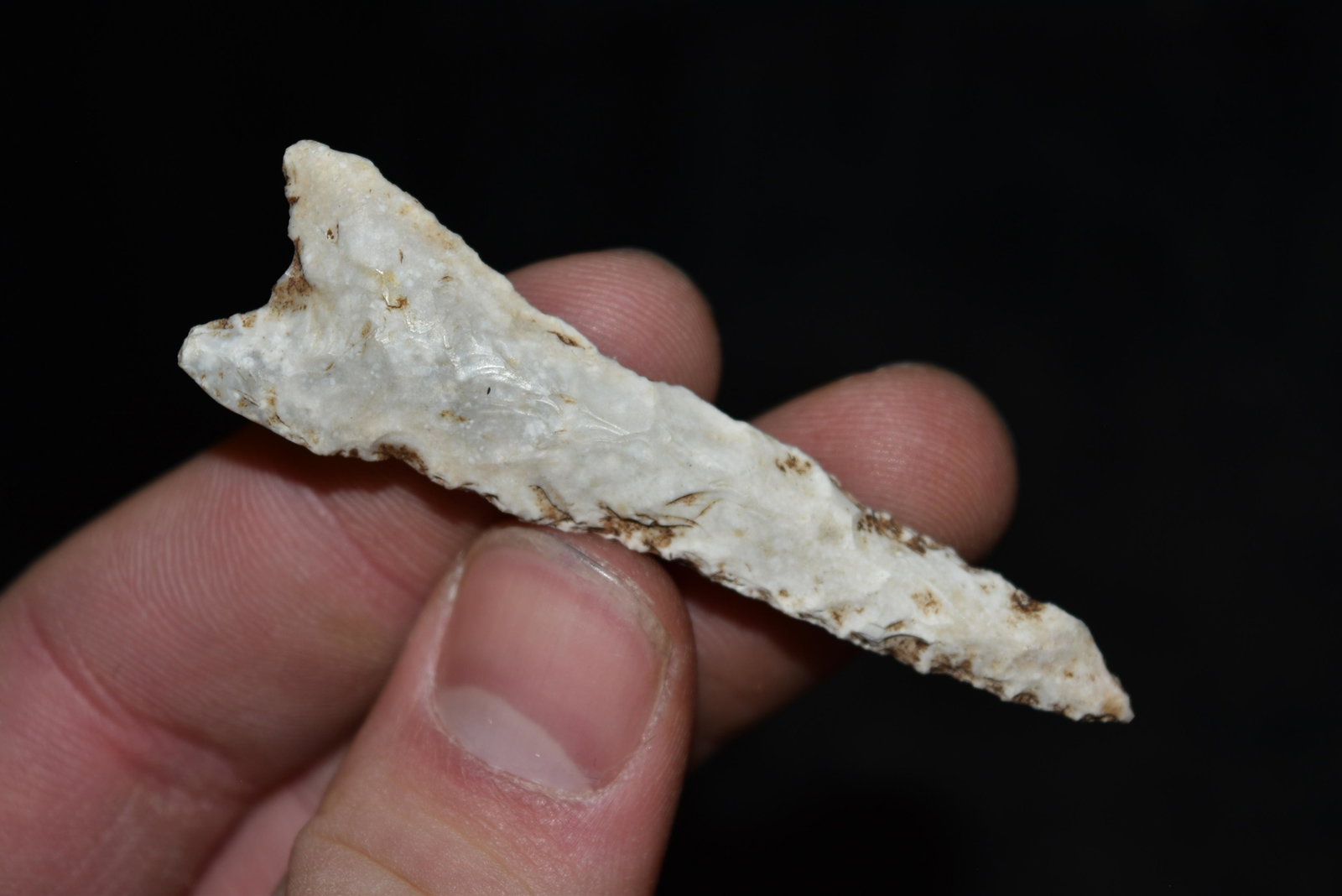 2 5/8" Dalton Point, Stoddard Co, Missouri: 2 5/8" Dalton Point, Stoddard Co, Missouri