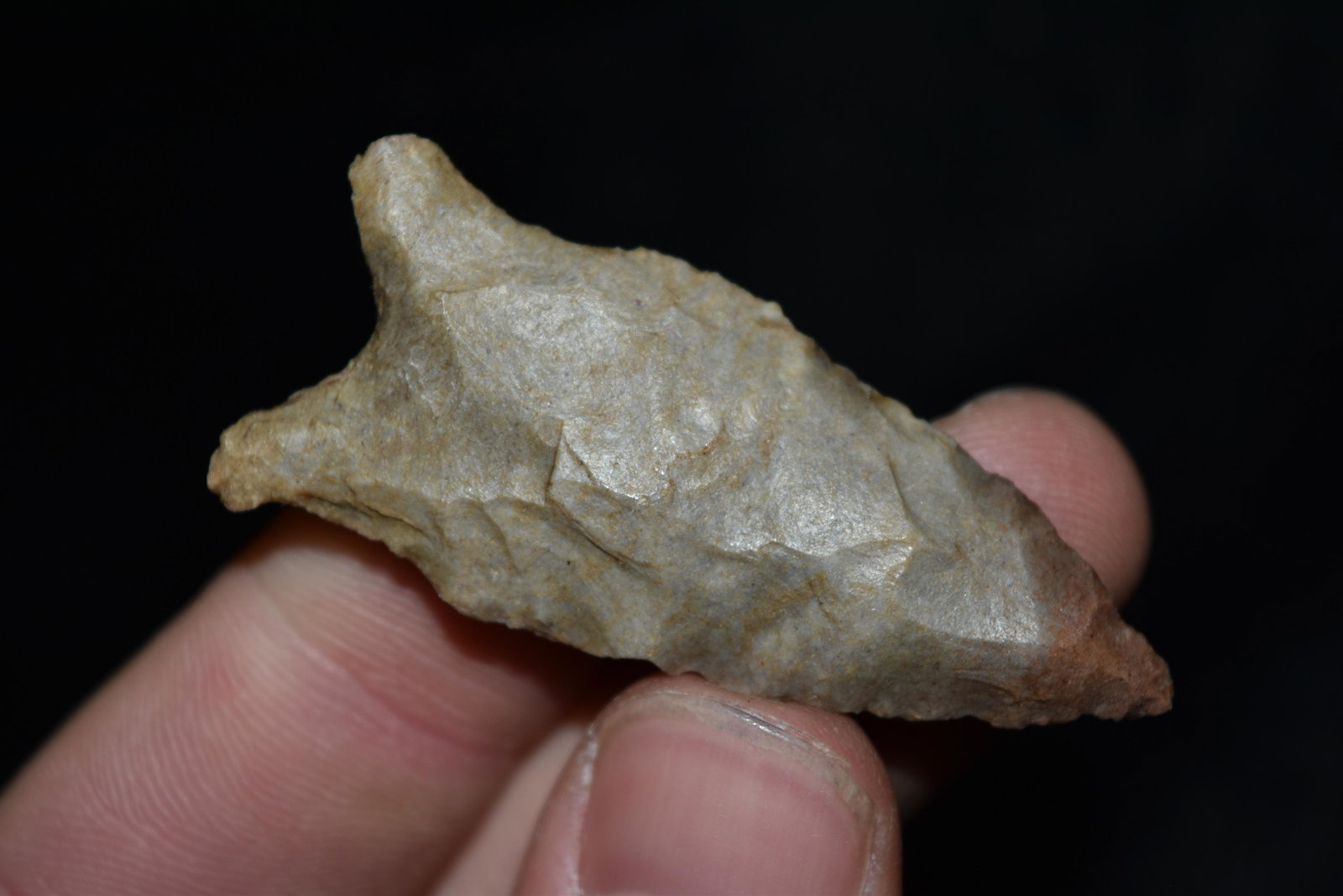 2 1/8" Dalton Point, Stoddard Co, Missouri: 2 1/8" Dalton Point, Stoddard Co, Missouri