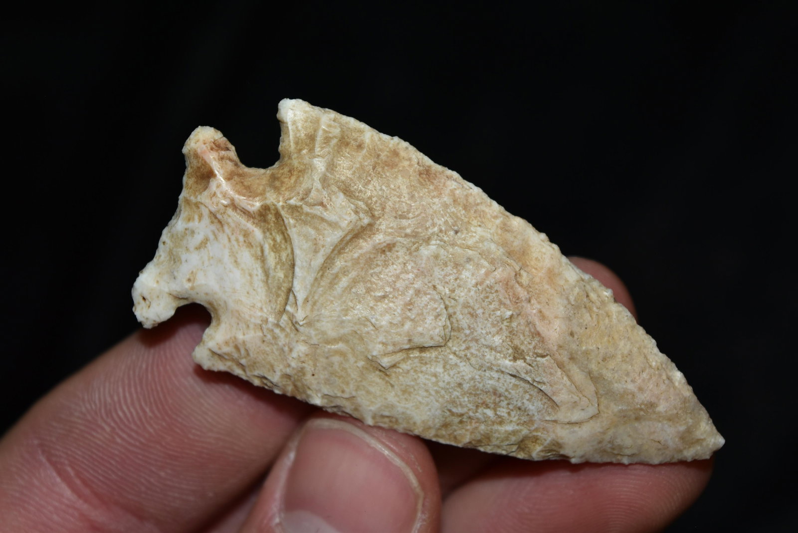2 9/16" Creek Stained Turin Point, FB Rick Anderson,: 2 9/16" Creek Stained Turin Point, FB Rick Anderson, Lewis Co, Missouri, Arrowhead, Native American, Artifact